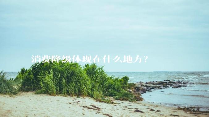 消费降级体现在什么地方？