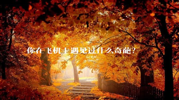 你在飞机上遇见过什么奇葩？