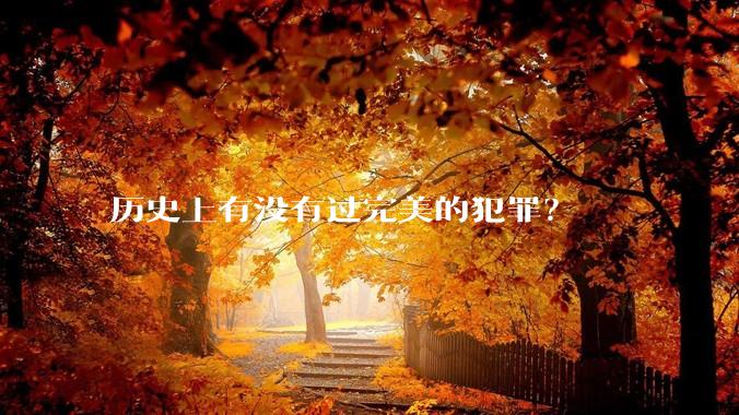 历史上有没有过完美的犯罪？