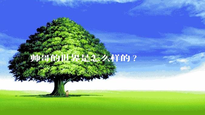 帅哥的世界是怎么样的?